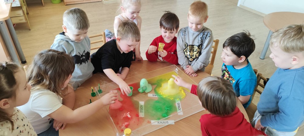 „Pelėdžiukų“ grupės veiklos, skirtos Lietuvai