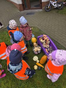 Ugdomoji veikla rudens gėrybių tema IU „Kačiukų” grupėje